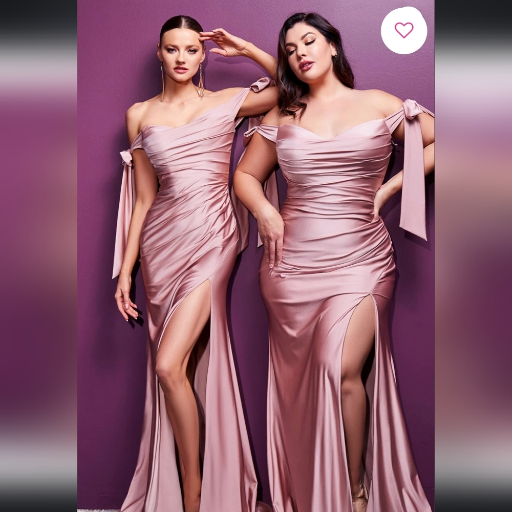 Long evening gown NWT